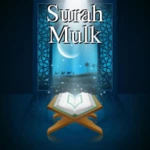 Logo of Surah Mulk android Application 